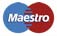 Accept the Maestro card