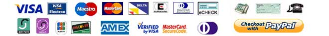 Secure Online Transaction Processes