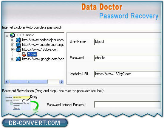 Internet explorer password recovery software