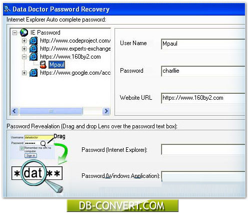 Internet Explorer Password Recovery Software